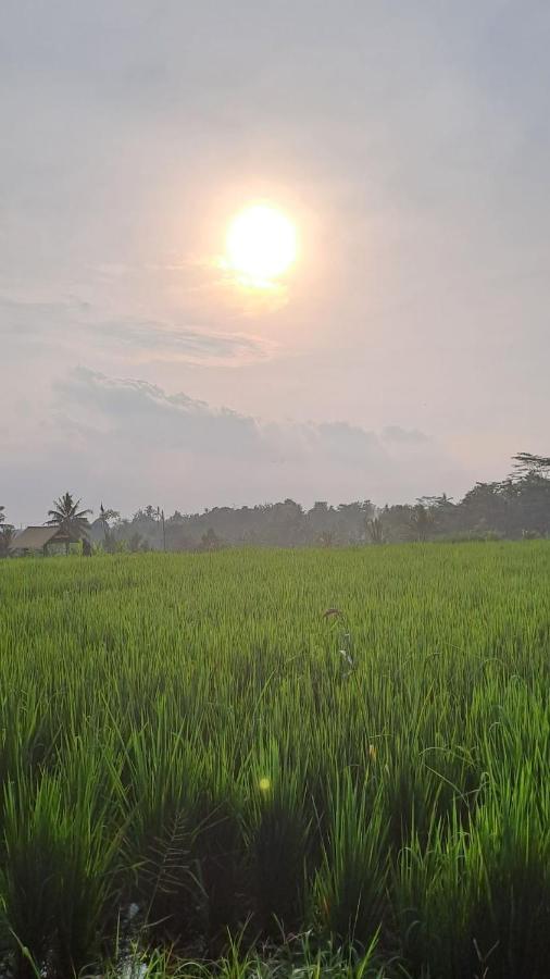 Galang Hari Villa Ubud Buitenkant foto