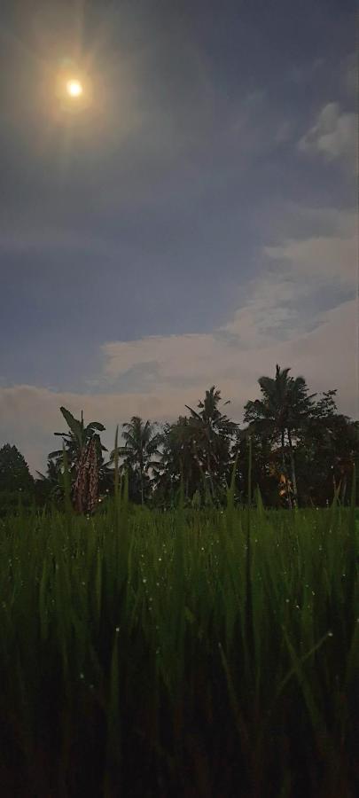 Galang Hari Villa Ubud Buitenkant foto